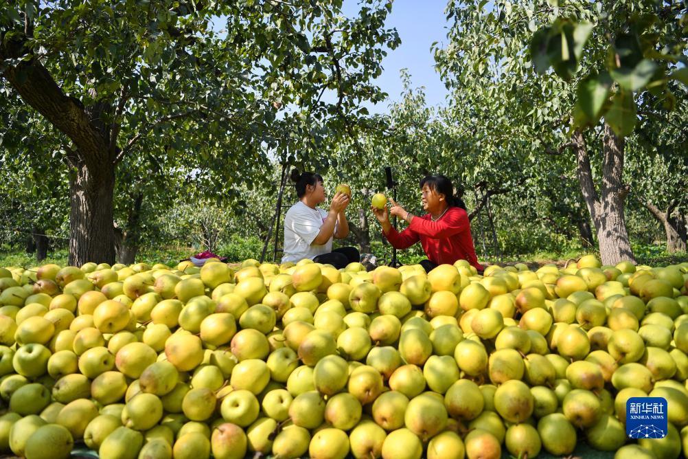 德州扑克APP下载